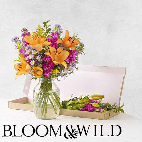 20% off Bloom & Wild Flowers